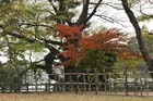 DSC_2224_Okayama_Korakuen