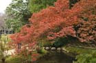 DSC_2234_Okayama_Korakuen