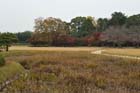 DSC_2236_Okayama_Korakuen