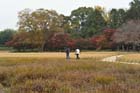 DSC_2238_Okayama_Korakuen