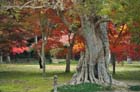 DSC_2249_Okayama_Korakuen