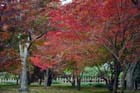 DSC_2259_Okayama_Korakuen