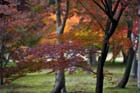 DSC_2265_Okayama_Korakuen
