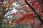 DSC_2277_Okayama_Korakuen