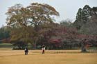 DSC_2312_Okayama_Korakuen