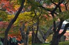DSC_2321_Okayama_Korakuen