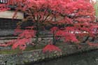 DSC_2442_Kurashiki