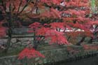 DSC_2445_Kurashiki