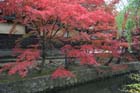 DSC_2446_Kurashiki