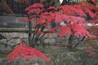 DSC_2451_Kurashiki