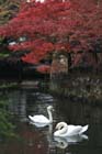 DSC_2461_Kurashiki