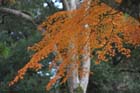 DSC_2646_Nara