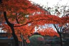 DSC_2652_Nara