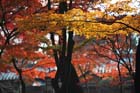 DSC_2654_Nara