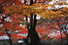 DSC_2657_Nara