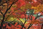 DSC_2659_Nara