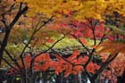 DSC_2664_Nara