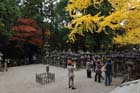 DSC_2726_Nara