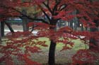 DSC_2751_Nara