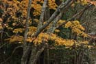 DSC_2812_Koyasan