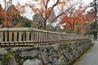 DSC_2843_Koyasan