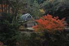 DSC_3105_Osaka_MinoPark