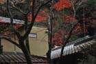 DSC_3115_Osaka_MinoPark