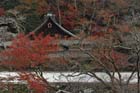 DSC_3169_Osaka_MinoPark
