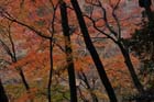 DSC_3182_Osaka_MinoPark