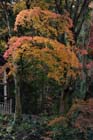 DSC_3343_Sakurai_TanzanJinja