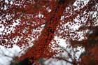 DSC_3345_Sakurai_TanzanJinja