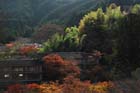 DSC_3389_Sakurai_TanzanJinja
