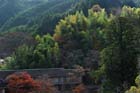 DSC_3391_Sakurai_TanzanJinja