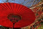DSC_3410_Sakurai_TanzanJinja