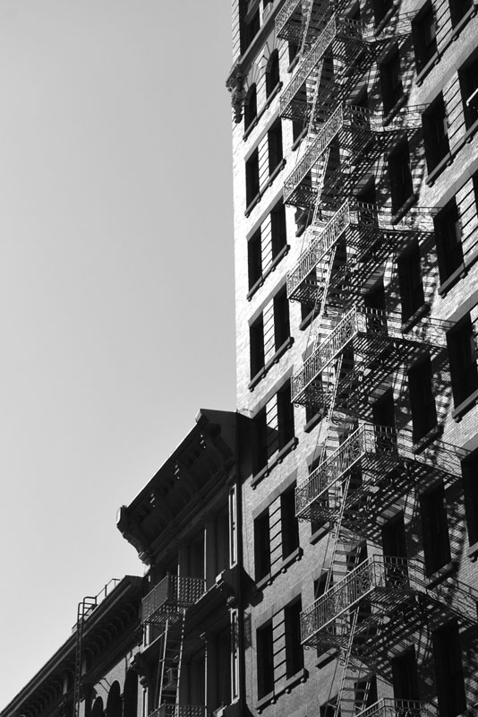 DSC_1258bw2