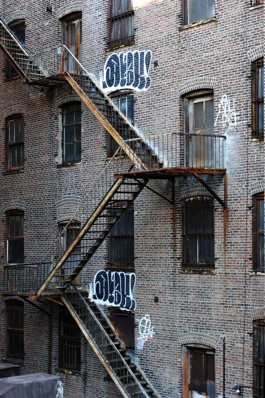 DSC_1502