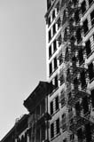 DSC_1258bw2