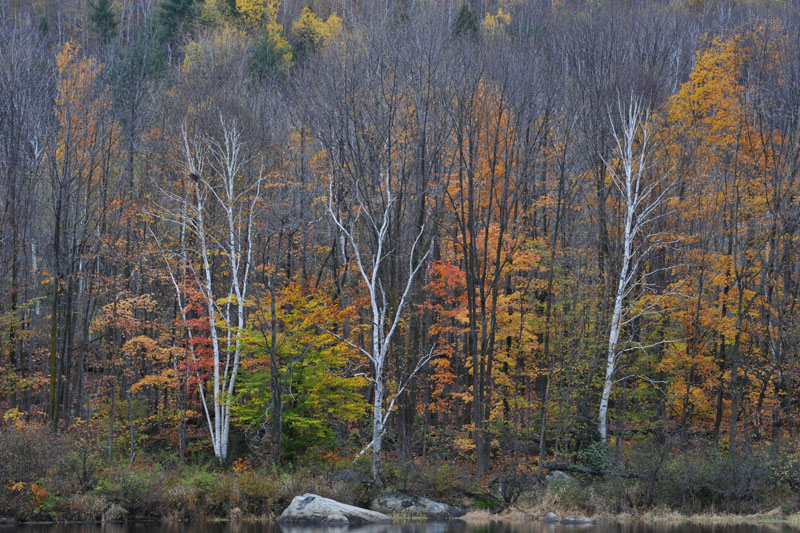 DSC_0676