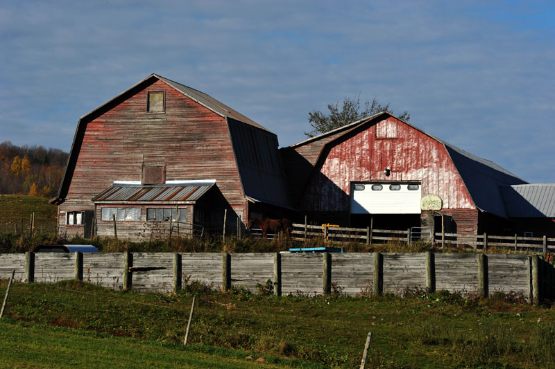 DSC_0987