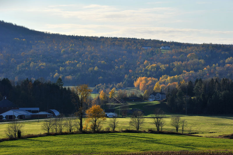 DSC_1002