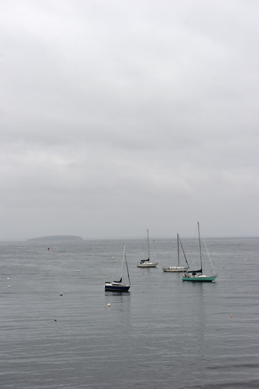 DSC_0364