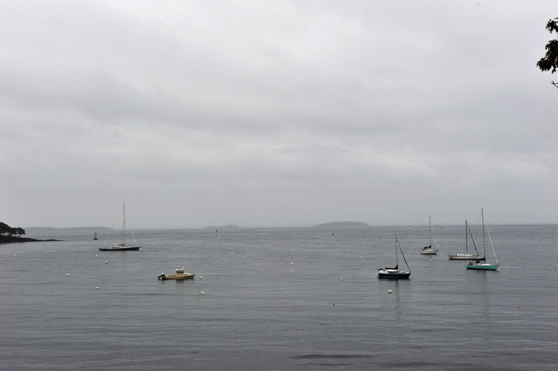 DSC_0367