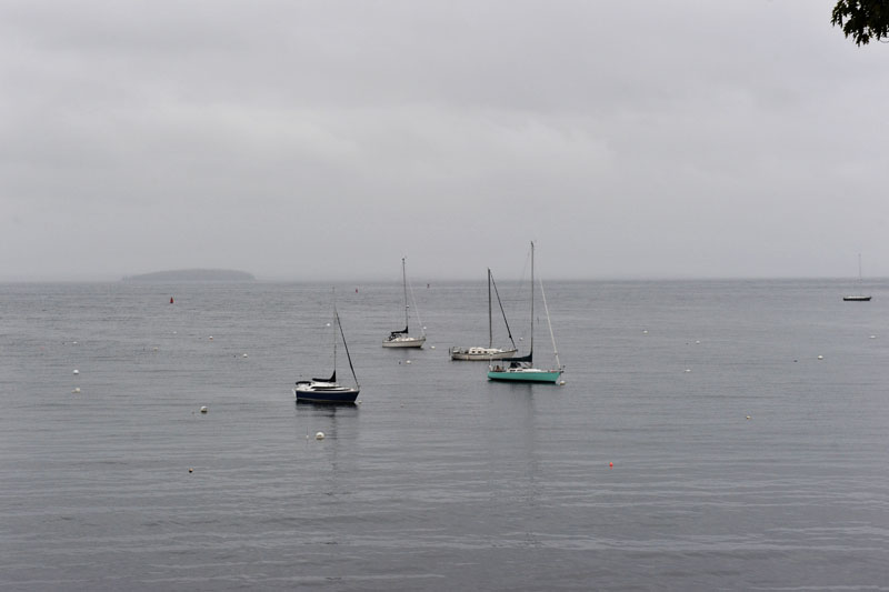 DSC_0368