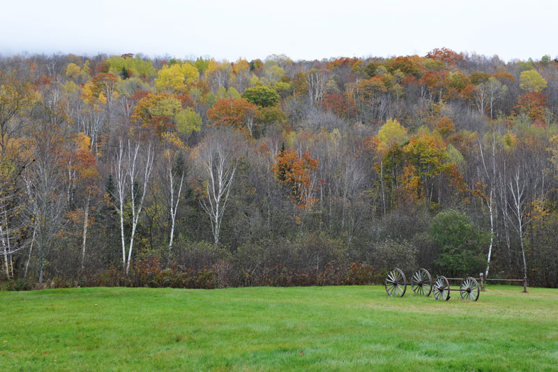 DSC_0560
