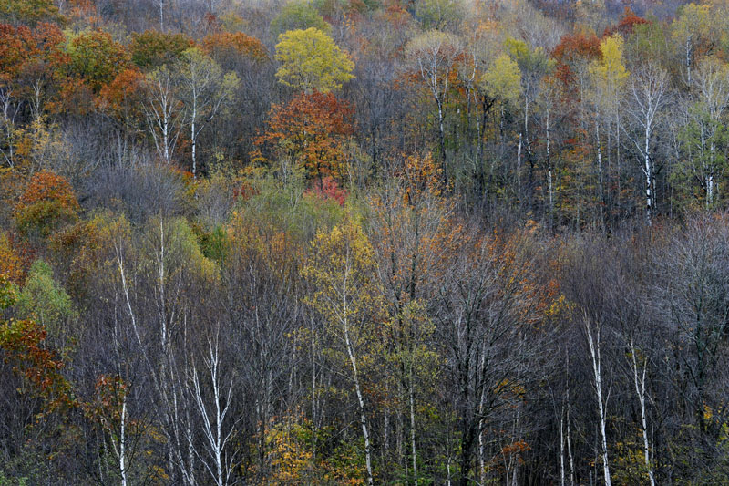 DSC_0561