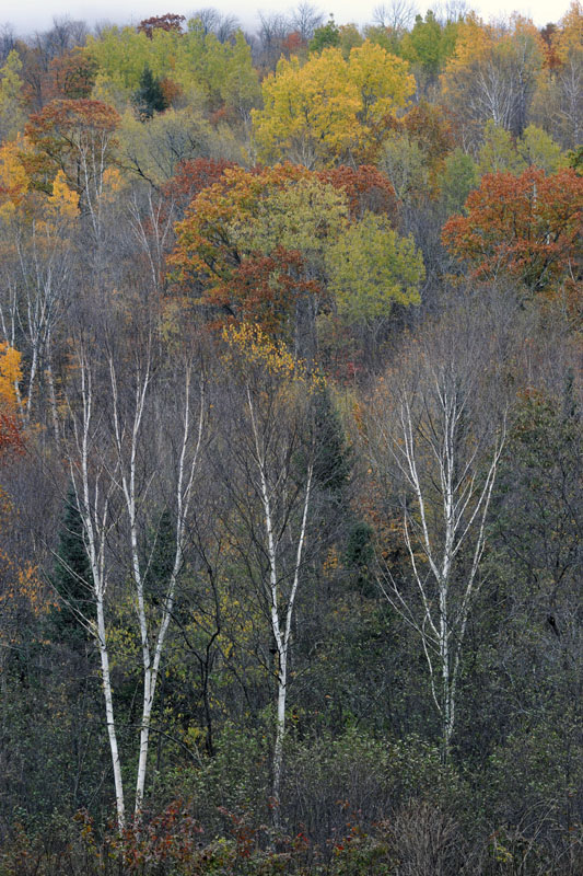 DSC_0569