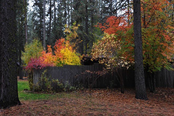 DSC_0519