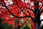 DSC_0479a
