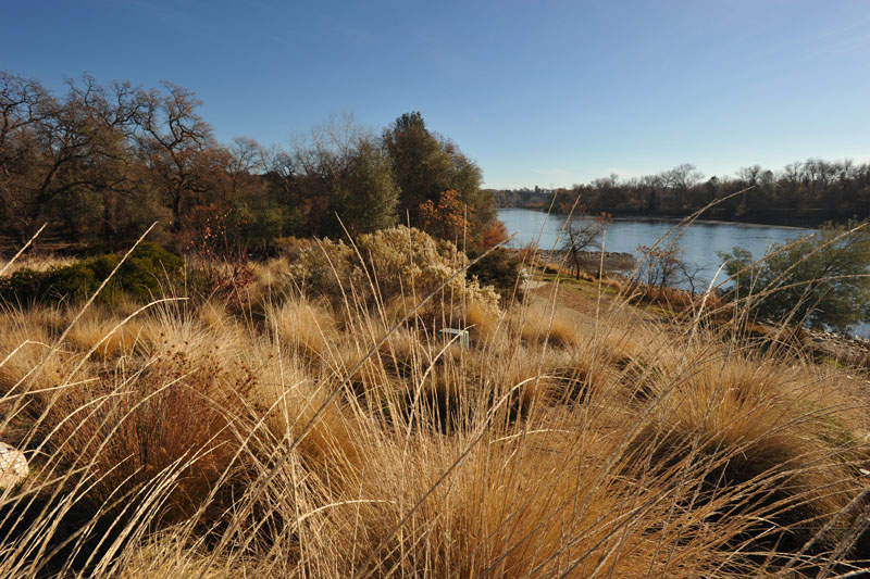 DSC_0051_ReddingCA