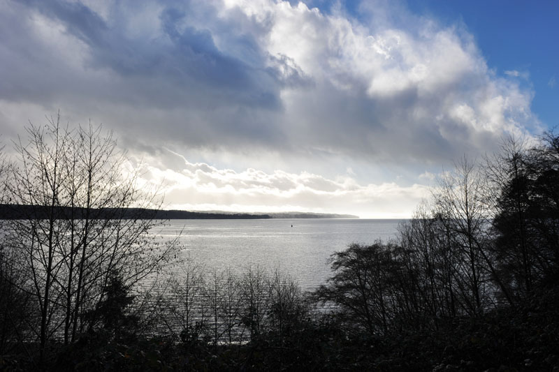 DSC_0241_PortTownsendWA